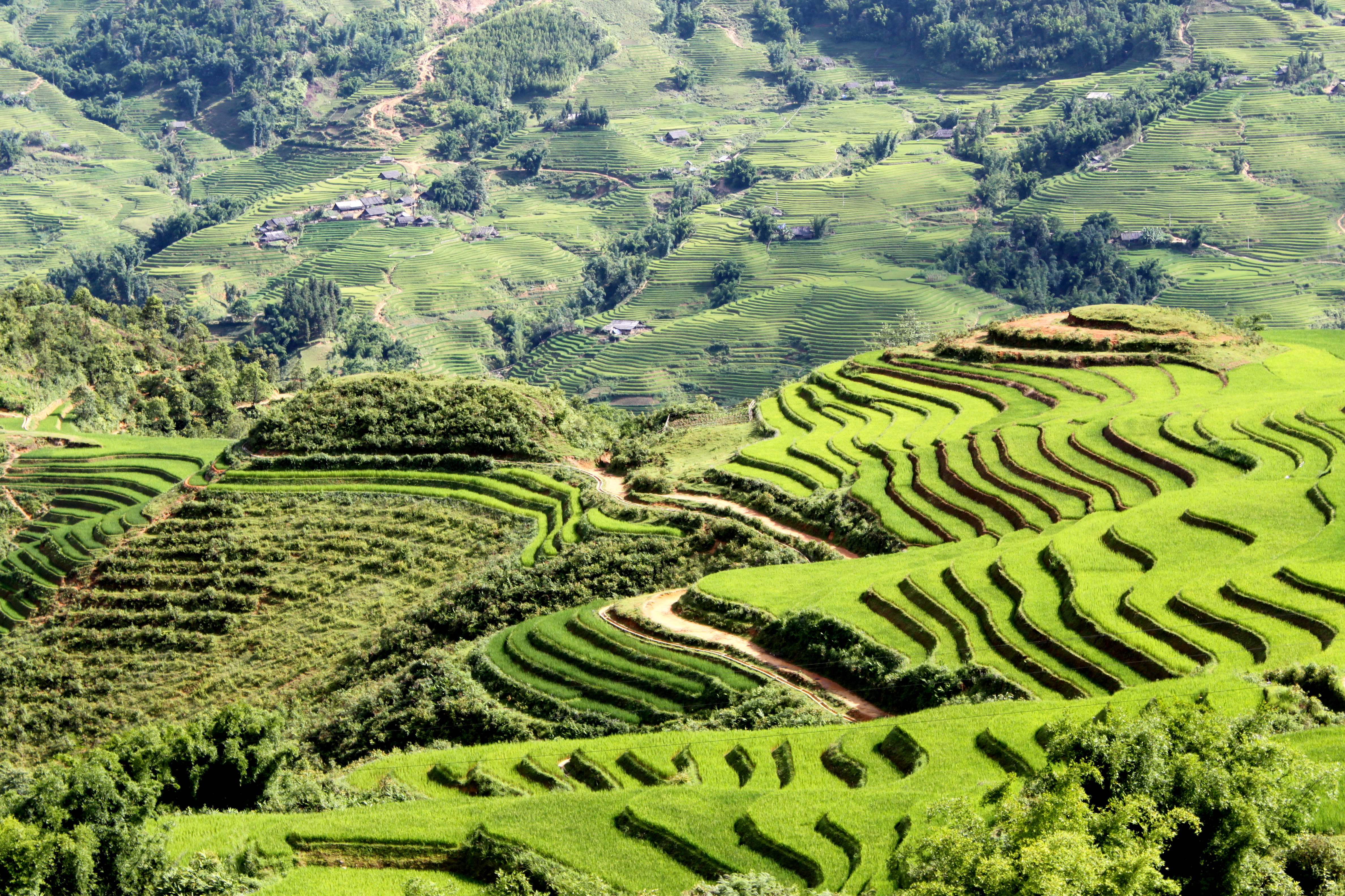 Yemen mountain terraces